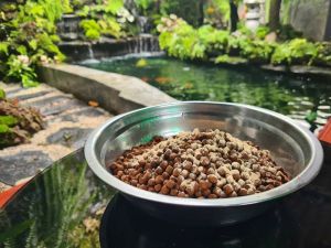 จุลินทรีย์ชนิดผสมอาหารปลา P&N Mix Fit 250g.