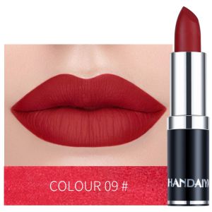 WENYOU 12 Colors Matte Lipstick Pigment Waterproof Long Lasting Women Lipstick Velvet Lip Color Makeup Lip Makeup