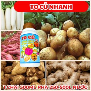 Phân Bón Lá To Củ- Mập Củ - Xuống Củ Nhanh - Đẹp Màu Nặng Ký - Dưỡng Củ Khoai Lang Củ Cải Cà Rốt Đậu Phộng Khoai Tây