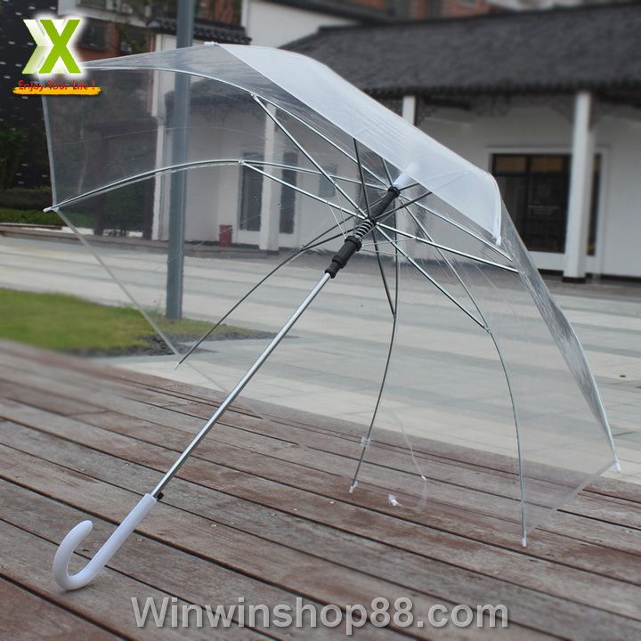 D%C3%B9%20trong%20su%E1%BB%91t%20%C4%91i%20m%C6%B0a%20m%C3%A0u%20h%E1%BB%93ng%20-%20Image%208