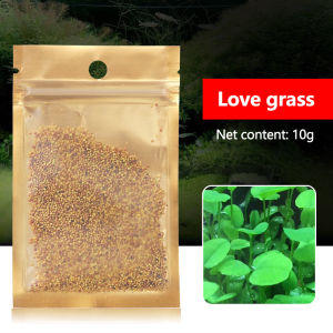 10G Aquarium Plant Seed Rumput Air Akuarium Aquatic Plants Water Grass Seeds