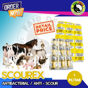 SCOUREX Coblet Antibacterial - Retail/TINGI (1 tablet)