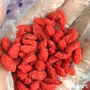 Kỷ tử quả tròn cao cấp túi 1kg