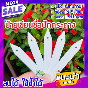 ชื่อปักกระถางต้นไม้ 🌵 ขนาด 1.5x10cm ลบได้ ใช้ซ้ำได้ ปักกระถางต้นไม้ ปักกระถางแขวนชื่อต้นไม้ แข็งแรงทนทาน homes