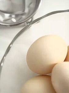 3in1 Steamer Pan Round Molds - 304 Stainless Steel Egg Cooker - Nonstick Kitchen Cooking Utensils