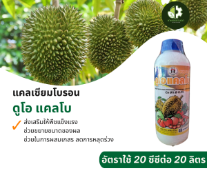 ดูโอ แคลโบ (แคลเซียมโบรอน) ช่วยขยายผล เพิ่มน้ำหนัก ลดการหลุดร่วง