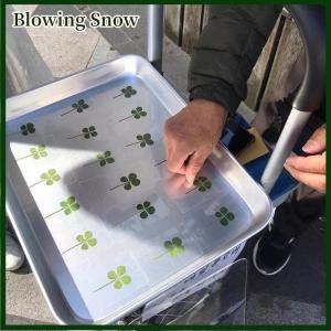 Blowing May Mắn Clover Bưu thiếp Trong Suốt Có Nhu Cầu Thẻ Lý Tưởng Cho Dấu Trang Trí Quà Tặng Cho Tự Làm Đồ Trang Sức Làm Nghệ Thuật Thủ Công