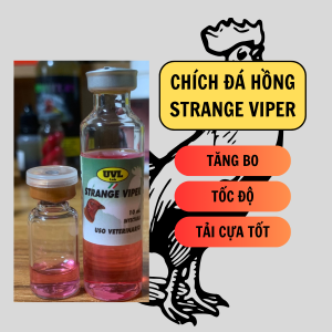 Thuốc gà đá tăng bo Chích đá hồng Strange thuốc gà đá tăng bo tải cựa chống ói tăng tốc độ lỳ đòn.