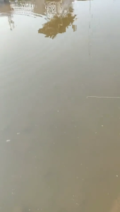 3 đoạn Giả Cứng Baits đa nối swimbaits bơi mồi với móc nước mặn swimbait