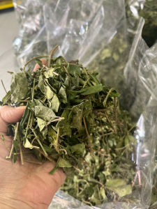 Dây thìa canh khô 1Kg (loại 1khô thơm sạch  xanh như rau) hàng sấy siêu sạch