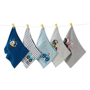 เซ็ตกางเกงในผ้าคอตตอนสำหรับเด็กชาย 5 ตัวB807