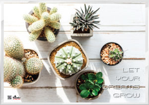 [Laminated Poster] Cactus Wall Art Poster Home Decor Inspirational Cute Lovely Cafe Living Room Dining Desk Bedroom