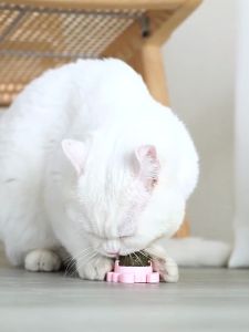 Cat Snail-shaped Rotating Catnip Ball Teeth Cleaning Molar Toy Cat Licking Ball With Covers Pet Supplies