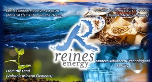 Solve your hair issues and stay healthy ! Reines Energy Shampoo (100ml or 750ml) - 100% natural eco-friendly deep cleansing Hong Kong premier brand for all type of hairs effective in treating hair loss itchy scalp and dandruff