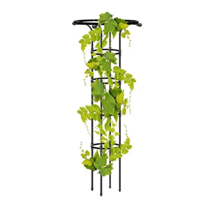 Garden Trellis For Climbing Plants Garden Trellis For Climbing Plants