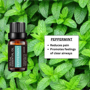 [Ready Stock][Pure Essential Oil] 10ml Water Soluble Natural Plant Aromatherapy Diffuser Oil Air Humidifier Air Purifier Scented Stone Dried Flower Sachet Face Mask Buckle Massage Skin Care Hair Treatment Bedroom Living Room Bathroom Reading Room Office