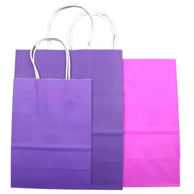 Paper Bag Colour Plain Paper Bag Kraft Paper Bag Birthday Paper Bag Shopping Paper Bag Door Gift Paper Bag