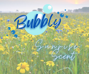 BUBBLY {PREMIUM} DIY Fabric Conditioner Kit 25 Liters Yield  ( 8 Components ) Quality Raw Materials ( GEL BASED )