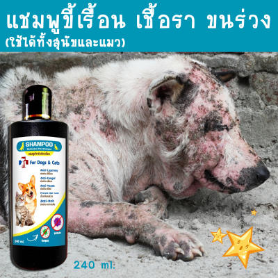 !จัดส่งทันที! แชมพูขี้เรื้อน เชื้อรา ยีสต์ ตัวไร ขนร่วง อาบฟิน ขนสวย นุ่มฟู อาบสัปดาห์ละ 2