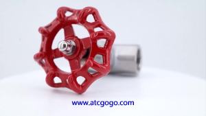 Type B American Stan 201/304 J11W Stainless Steel Globe Valve DN15 1/2" DN20 3/4" BSP Female High Temperature Water Needle Valve