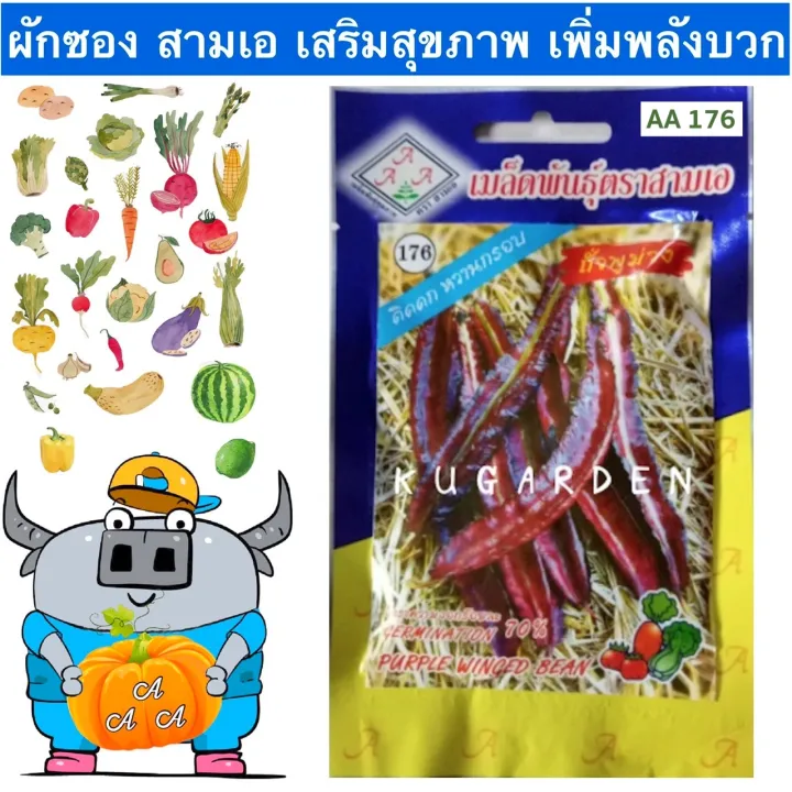 เมล็ดพันธุ์ถั่วพูม่วง ตรา AAA