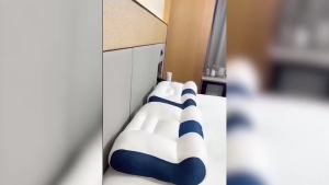 Sleep Enhancing Cervical Support Comfort Goose Down Pillow 2025 New Cervical Neck Pillow for Sleeping Ergonomic Sleep Enhancing Cervical Support Pillow (Blue)