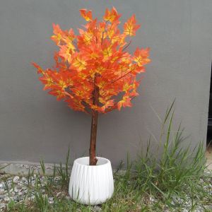 ต้นเมเปิลประดิษฐ์ สูง (1 เมตร) ใบสีส้ม ฤดูใบไม้ร่วง I ของแต่งบ้านพรีเมี่ยม