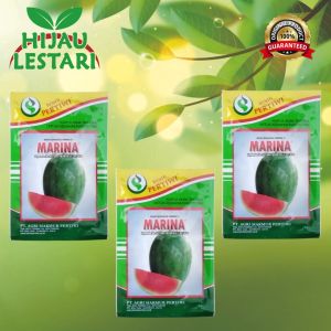 MARINA 20gr - Benih Semangka Hibrida F1 - ORIGINAL Benih Pertiwi