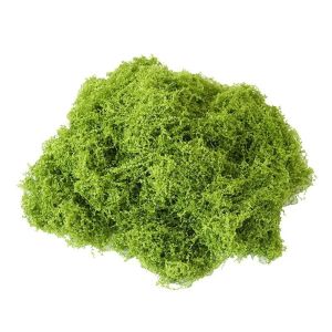 30g Artificial Moss/Moss Palsu Lumut Awetan Tender Moss Artificial Ekorasi Lumut Kering Lumut Tiruan Dekorasi Tanaman Palsu