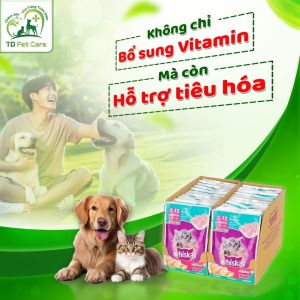ComBo 24 Gói Pate Dành Cho Mèo Whiskas - 1 Hộp Pate Gói Dành Cho Thú Cưng Vị Ngẫu Nhiên