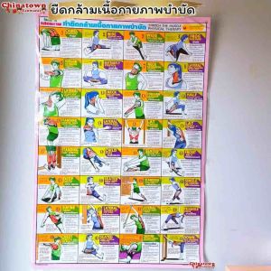 โปสเตอร์ ยืดกล้ามเนื้อกายภาพ Poster นวด นวดแผนไทย ฤษีดัดตน กดจุดรักษาโรค การนวดกดจุด ลมปราณ ไม้กดจุด กัวซา เบาะนวด นวดแผนไทย