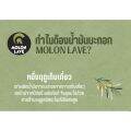 MOLON LAVE น้ำมันมะกอกธรรมชาติออร์แกนิก Organic Extra Virgin Olive Oil acidity 0.35% (750ml). 