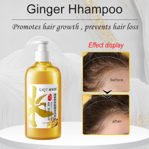 Anti Hair Loss Shampoo Shampoo Pure Ginger Shampoo 500ml Anti Hair Loss Helps Hair Regeneration Oil Control Anti dandruffHair growth shampoo