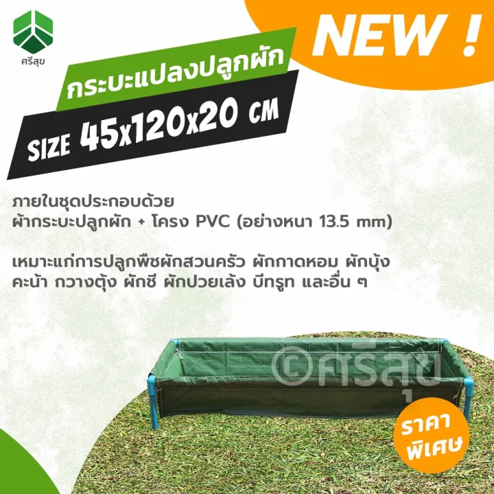 กระบะปลูกผัก แสนดี พร้อมโครง ขนาด 42x120x22 cm