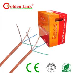 [HCM]DÂY MẠNG 40M GOLDEN LINK 5E UTP CAM BẤM SẴN ĐẦU KẾT NỐI