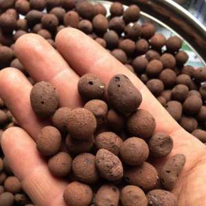 Hydroton Clay Pebbles: A Comprehensive Guide for Hydroponic Growers