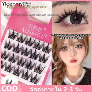 [2 ~ 3 วันการจัดส่ง] ขนตาเทียบตัวเอง Split Sunflower DIY ขนตาเทียบกันน้ำความจุขนาดใหญ่ขนตาธรรมชาติกลุ่มเดียวขนตาใช้ใหม่สำหรับผู้เริ่มต้น