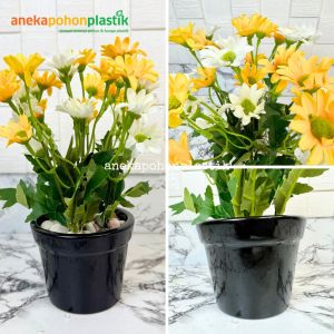 Tanaman Bunga Matahari Variasi Kuning Pot Melamine Orange & Pot Keramik Hitam Hiasan Meja Kantor Aesthetic