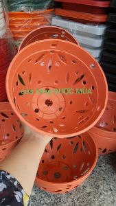 combo 5 chậu 10 chậu nhựa trồng lan kiểu giả đất đường kính 21cm