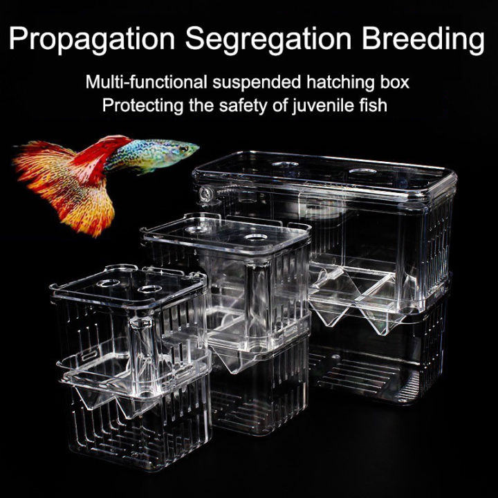 aquarium fish breeding box capetsma Box, Acrylic Fish Isolation with Suction Cups, Acclimation Hatchery Incubator for Baby Fishes Shrimp Clownfish and Guppy... Small Size (S) : Pet Supplies The breeding boxes come with a suction cup hanging system with 4 suction cups Aquarium Fish Breeder Box –