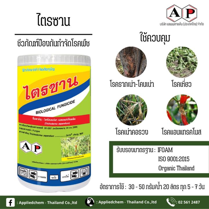 ไตรซาน เชื้อราไตรโคเดอร์ม่า แอสเพอร์เรียลลัม ขนาด 500 กรัม ควบคุมแมลงและเชื้อราในพืช