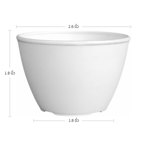 กระถาง กระถางต้นไม้ แคคตัส 2.5 นิ้ว สีขาว 50 ใบ ชิ้น อัน