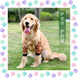 【Best Price Guaranteed】 Whisker Dog Elbow Brace Protector Soft Breathable Pain Relief Shoulder Support Elbow Sleeves Pads for Canine Elbow Dog Supplies