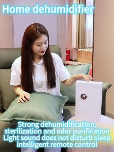 JF Dehumidifier for room timed negative ion purification disinfection and sterilization