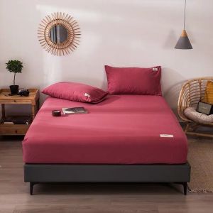 Ga giường cotton Tici kèm  2 vỏ gối nằm  phong cách hàn Quốc đủ màu đủ size