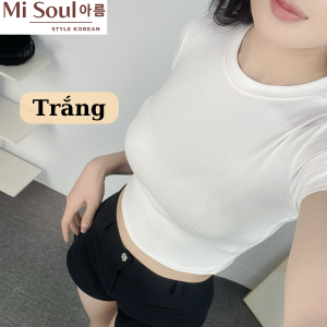 Áo Thun Cotton Croptop Nữ Ôm Body Cổ Tròn Cộc Tay Họa Tiết Trơn Basic BigSize Áo Croptop Tay Ngắn Misoul 390