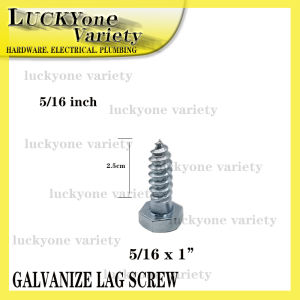 GALVANIZE LAG SCREW HEXAGONAL 5/16 (200PCS PER BOX)