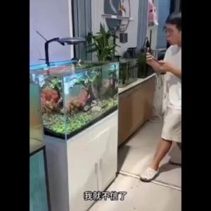 【Ship in 24H】Aquarium LED lamps three-color timingspotlights zoomable aluminum alloy