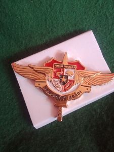 PIN BROS WING PP PEMUDA PANCASILA
