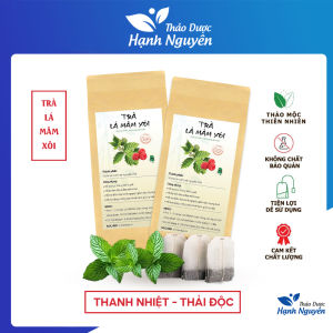 Trà lá mâm xôi túi lọc trà mâm xôi rừng hỗ trợ làm dày niên mạc ivf đào thải dịch điều kinh